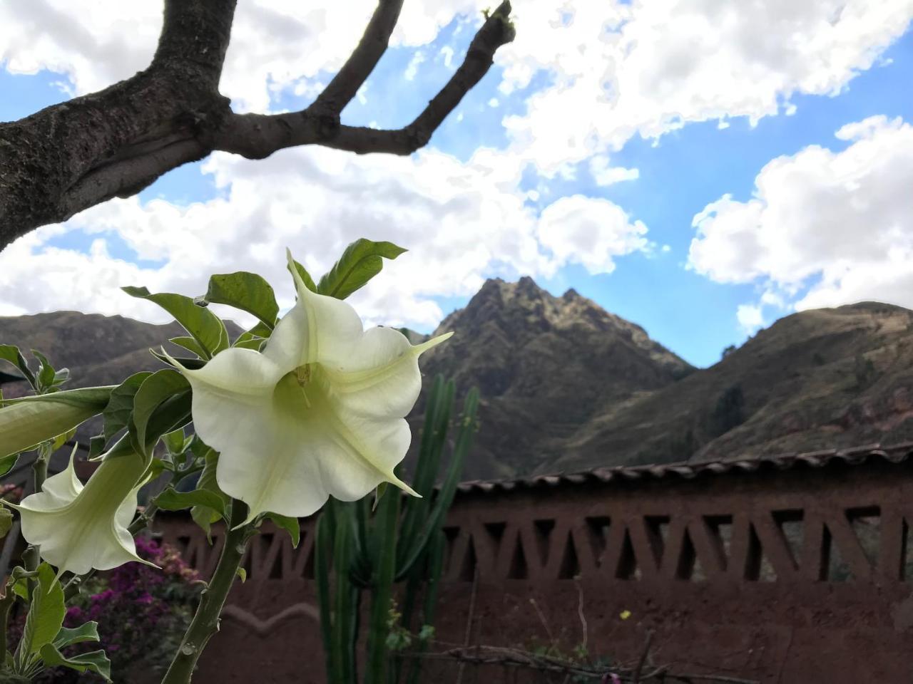 Pisac Inca Guest House Exterior foto